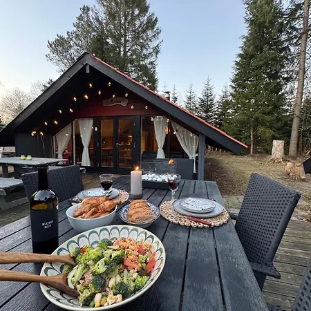 In 2 By The Lake, Legoland, Forestcabindk